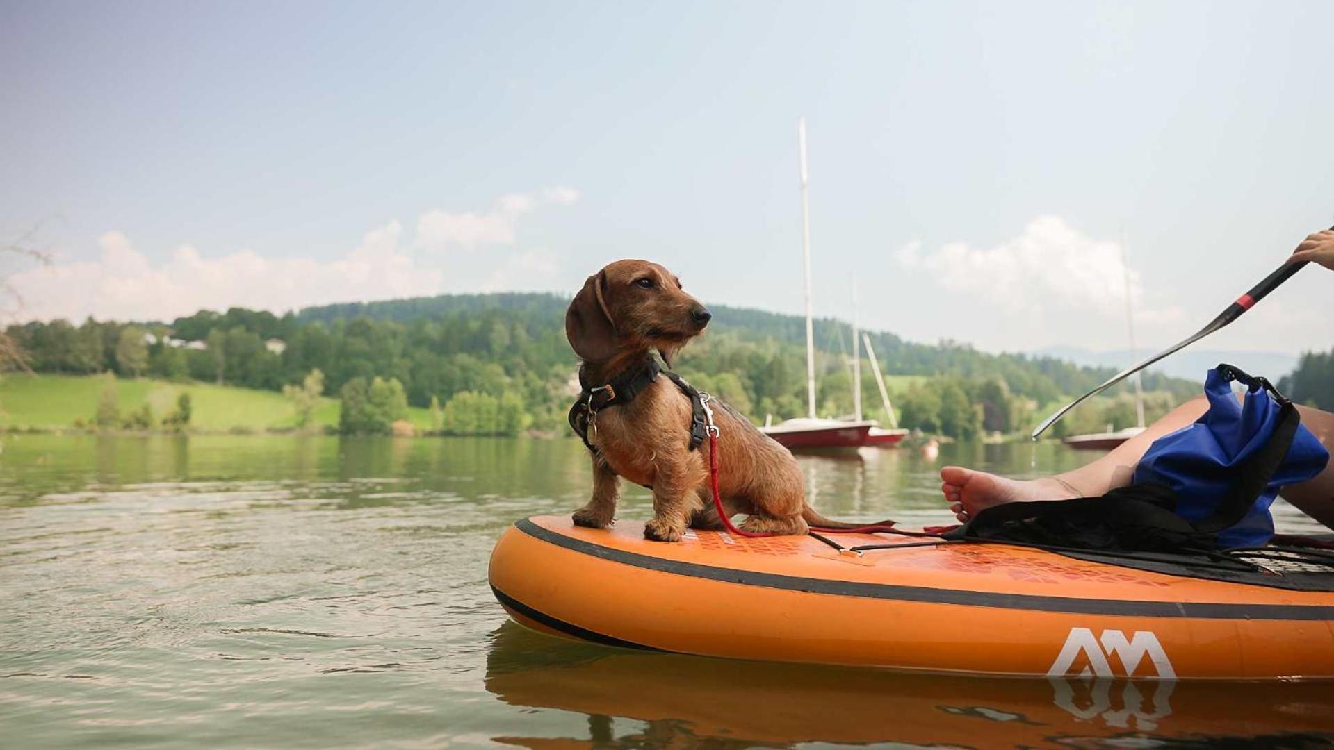 Feriendorf Am Maltschacher See เฟลด์เคอร์เฮน อิน แครนเทน ภายนอก รูปภาพ