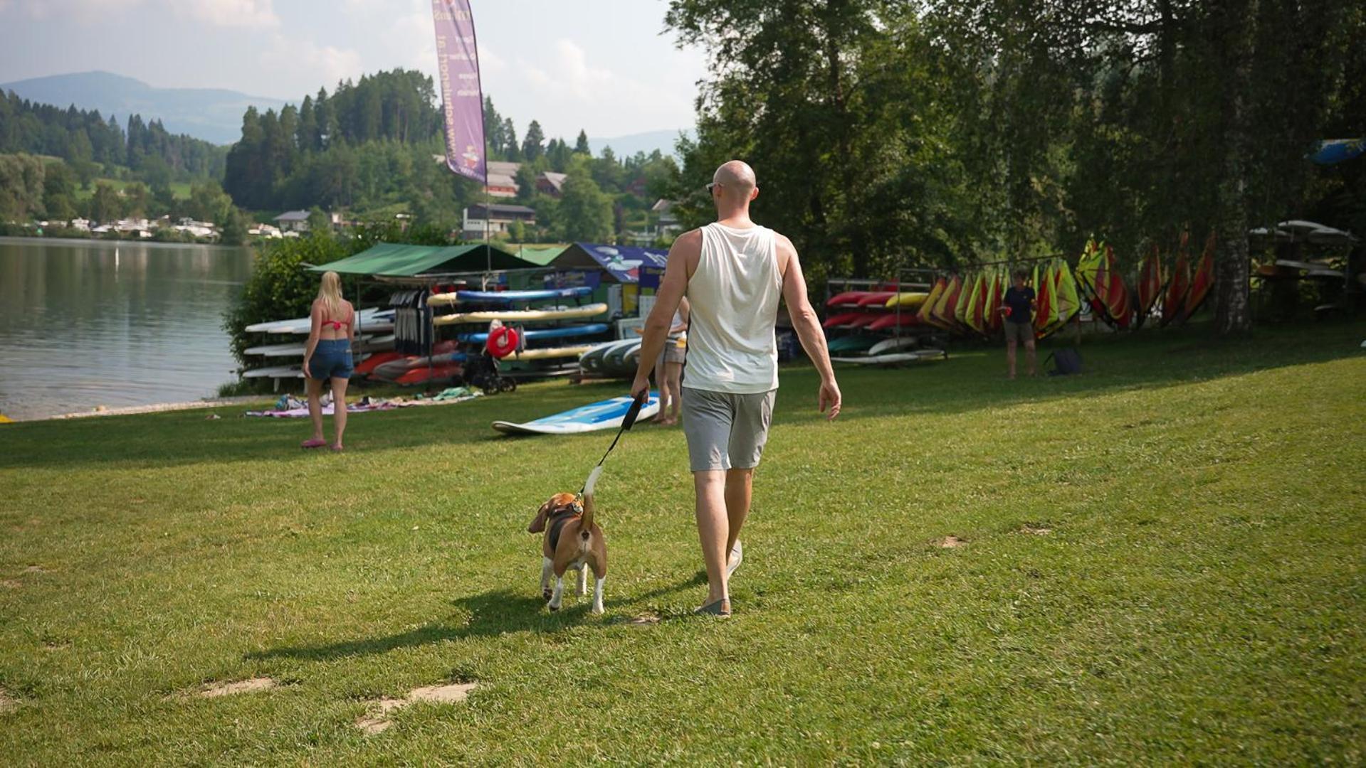Feriendorf Am Maltschacher See เฟลด์เคอร์เฮน อิน แครนเทน ภายนอก รูปภาพ